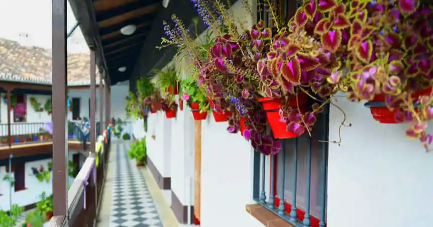 decoration patio malaga